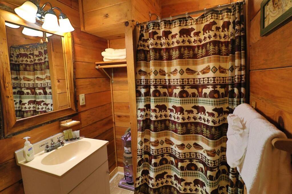 Alpine Mountain Sweetheart Cabin Jacuzzi #6 ヘレン エクステリア 写真